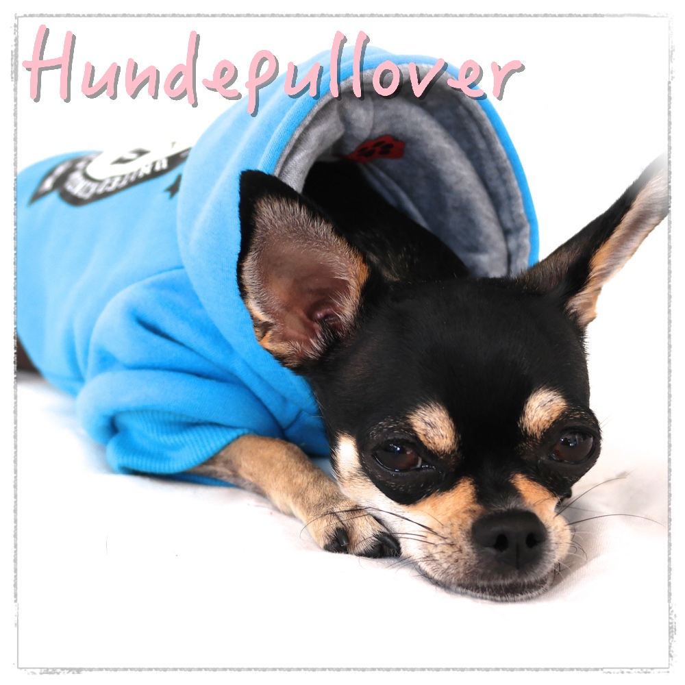 Hundepullover mimis-modeshop